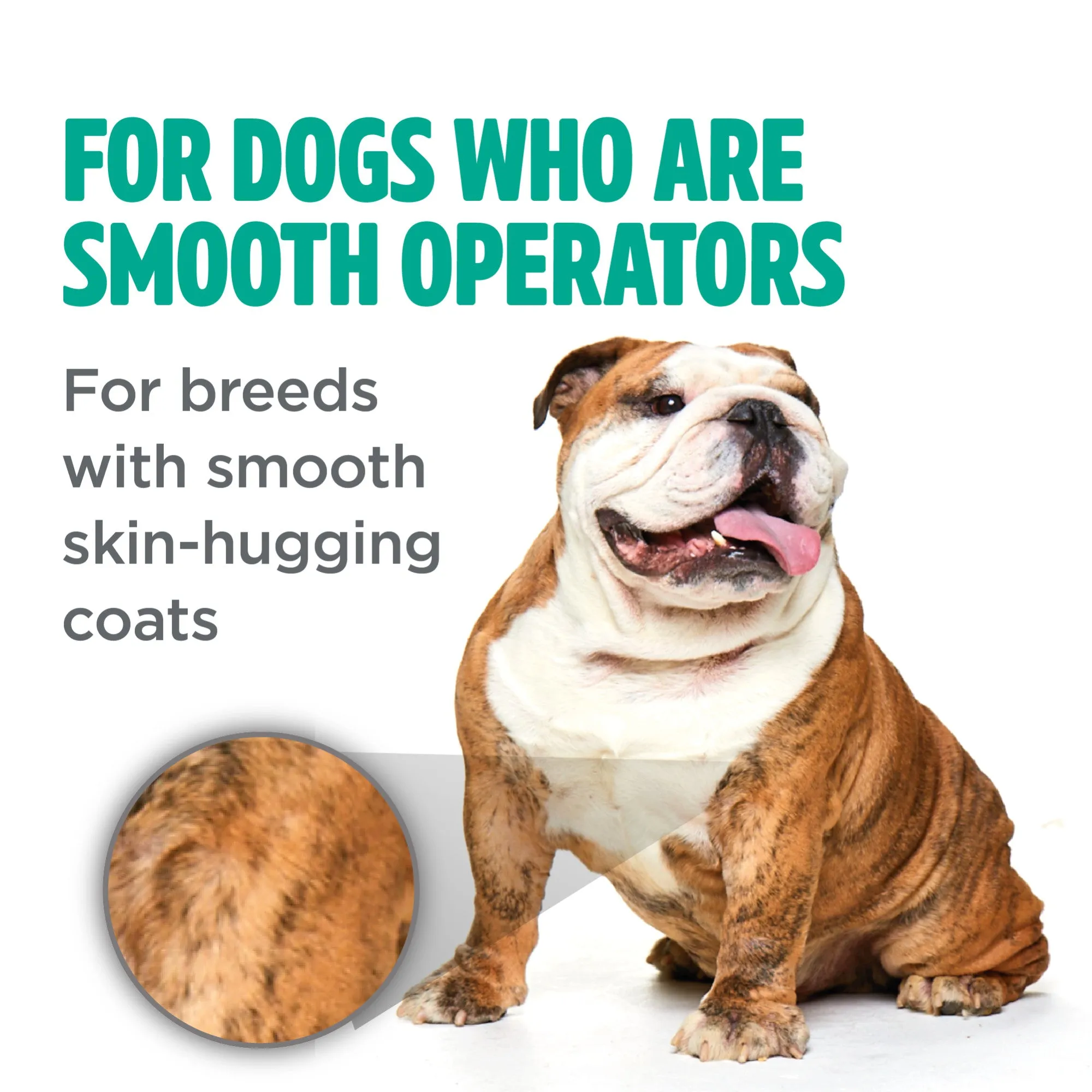 Tropiclean Perfect Fur Smooth Coat 16-oz, Dog Shampoo